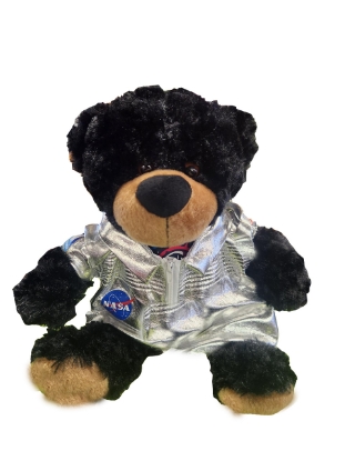 Picture of Supernovas Astronaut Bear