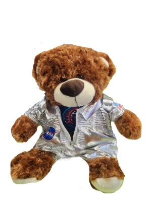 Picture of Supernovas Astronaut Bear