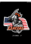 Picture of LANCER Vinyl Decal - Flag